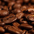 robusta